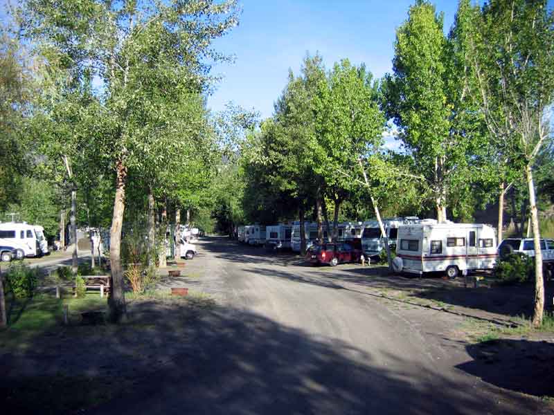 Brookside Campsite