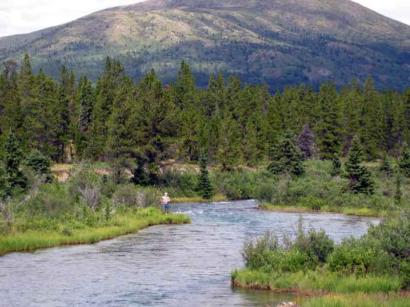 Ted catching a grayling on Pine Creek