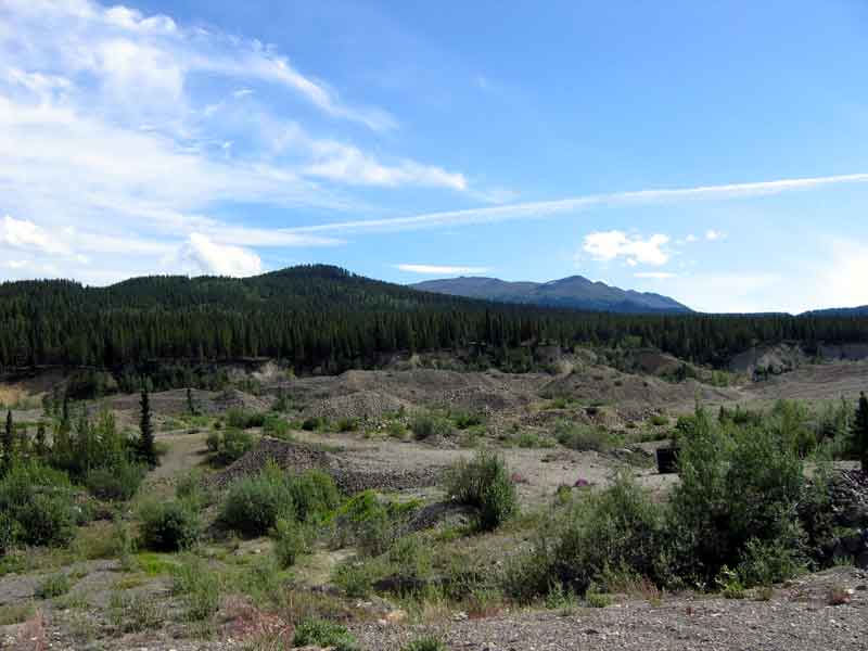 Gold tailings