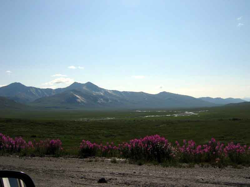 Treeless tundra from here on