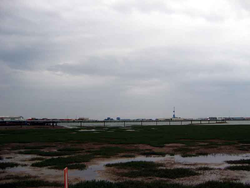 Buildings and Bogs