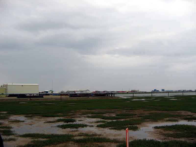 Buildings and Bogs