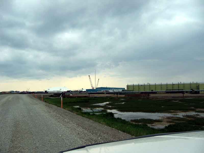 Buildings and Bogs