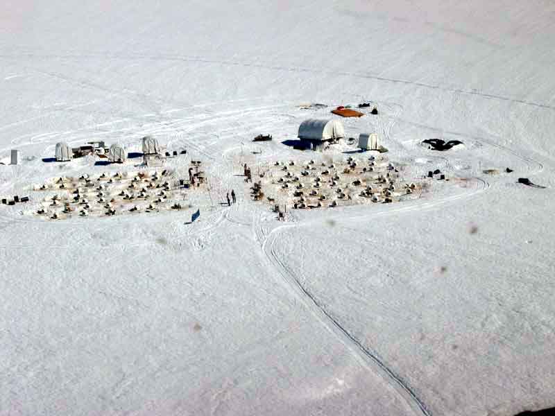 Sled dog central