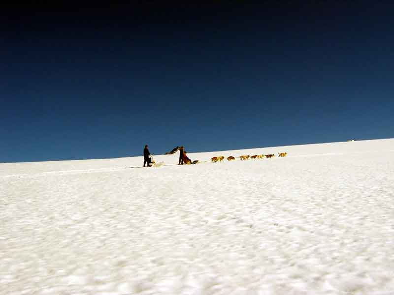 Mushing on the glacier