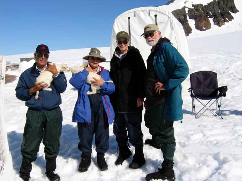 Showing off some future sled dogs