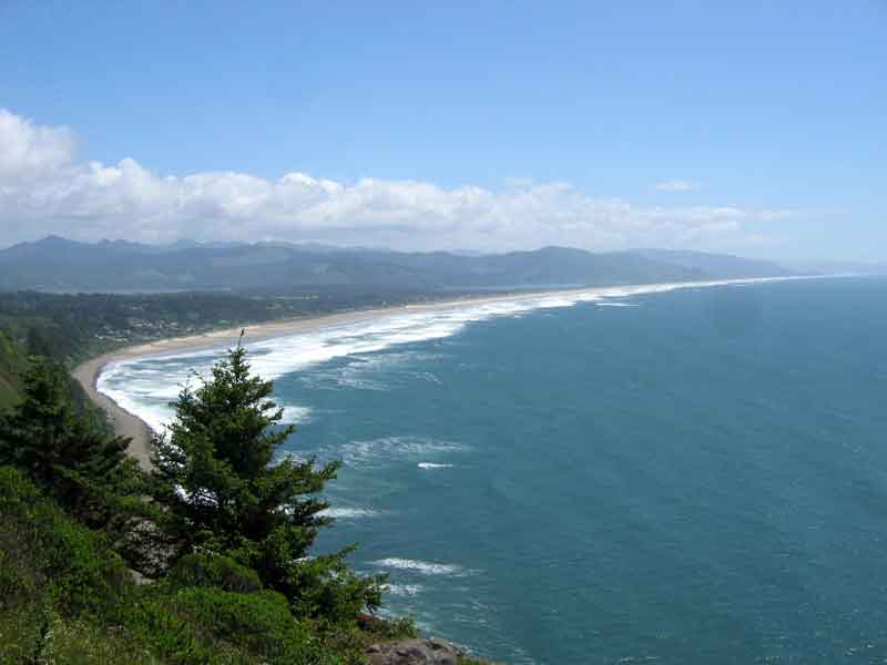 MP41 Sea Coast