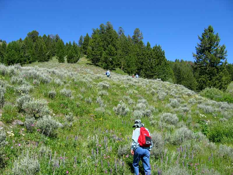 Up the route to Lemhi Pass