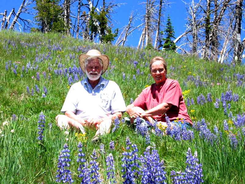 Resting on a slope of wild flowers