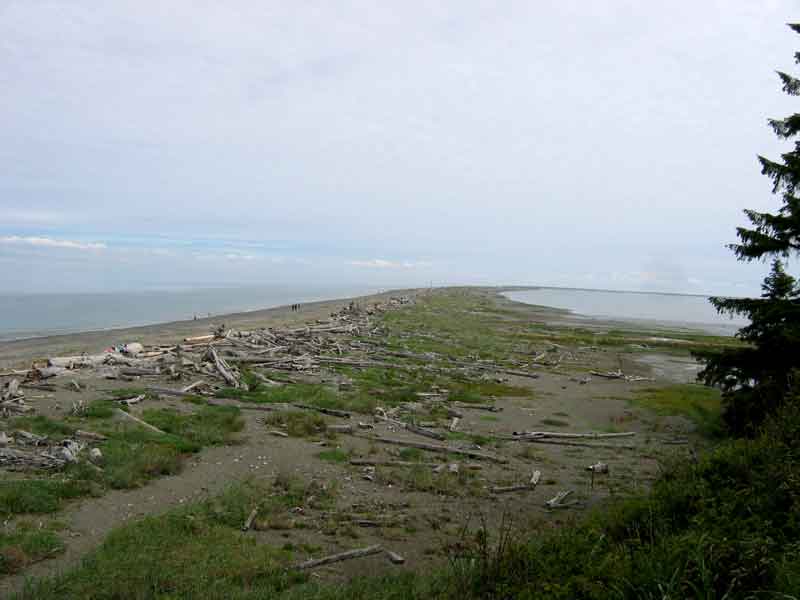 Dungeness Spit