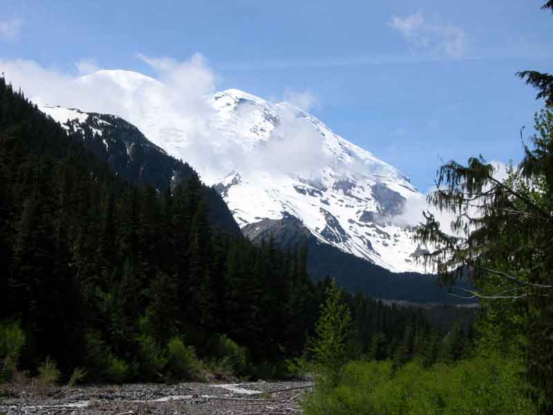 Mt Rainier from Sunrise