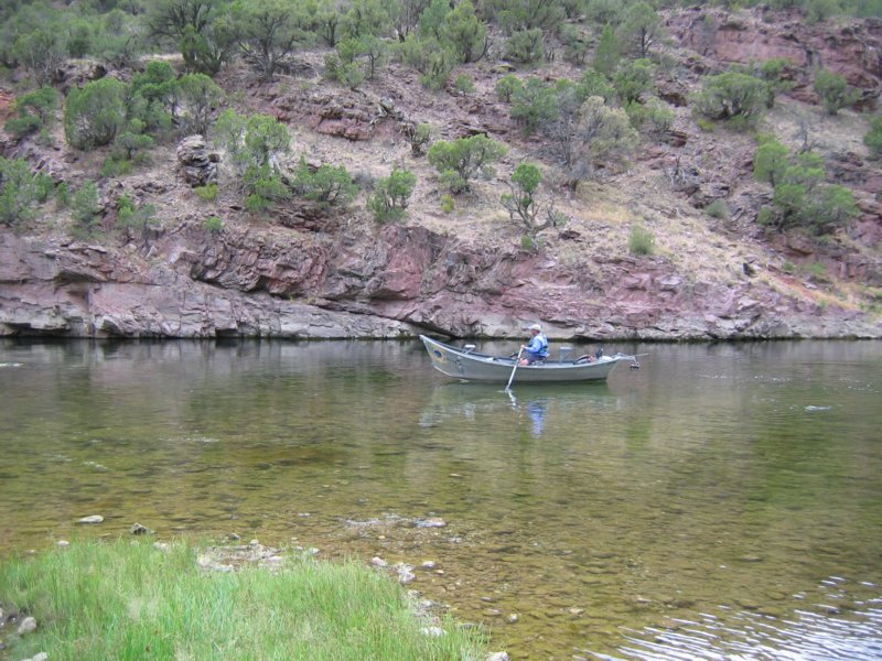 Shallow rapids on the B section