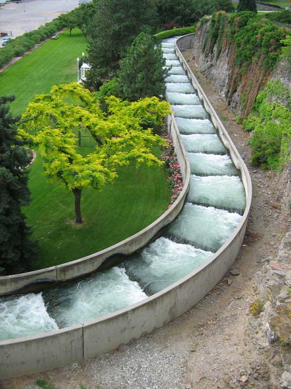 Fish ladder