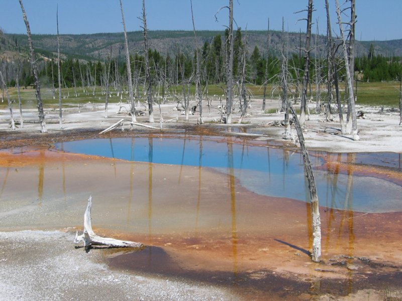 Opalescent Pool