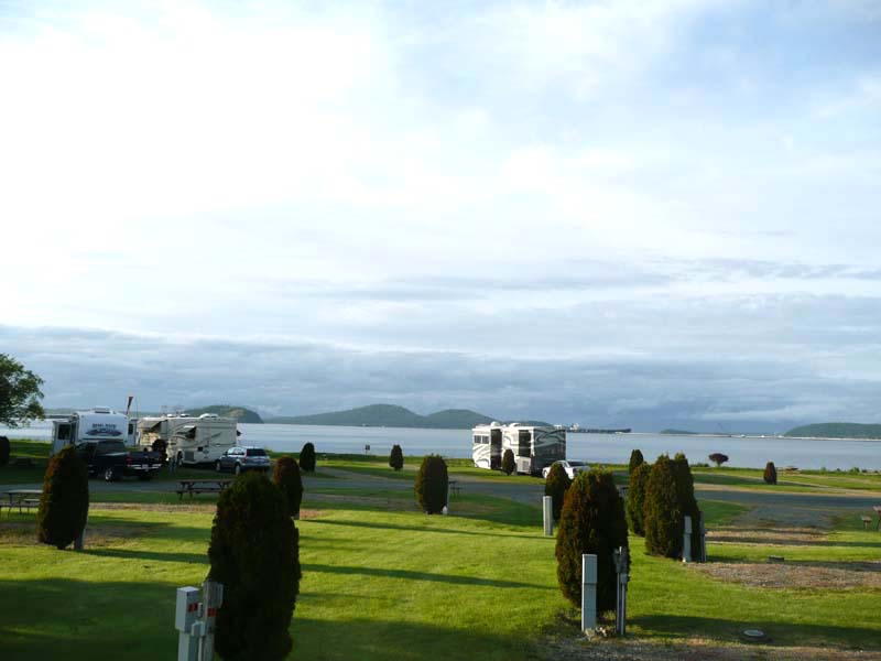 Fidalgo Bay campsite