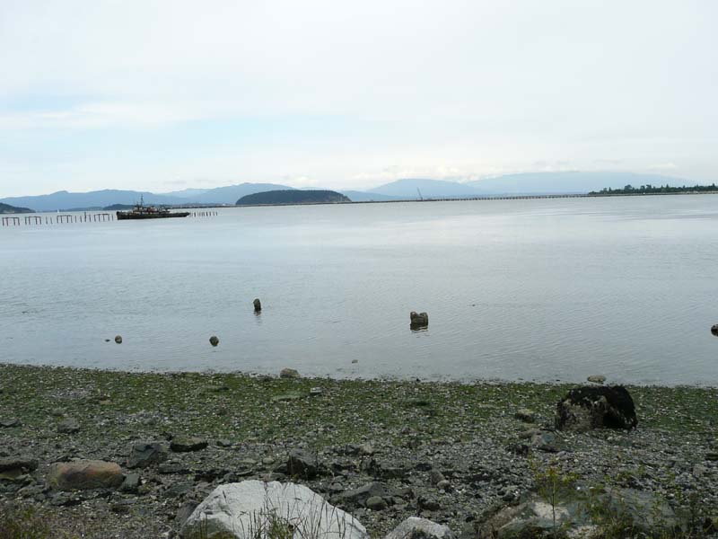 Fidalgo Bay Trail