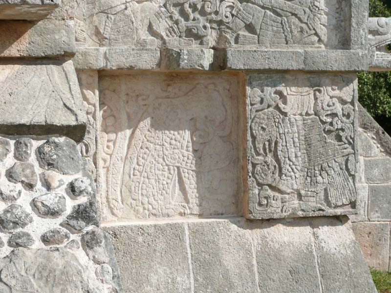Jaguar and Eagle
