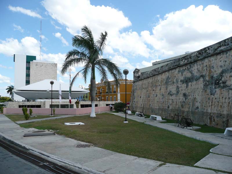 The Legislature building and the National Tree