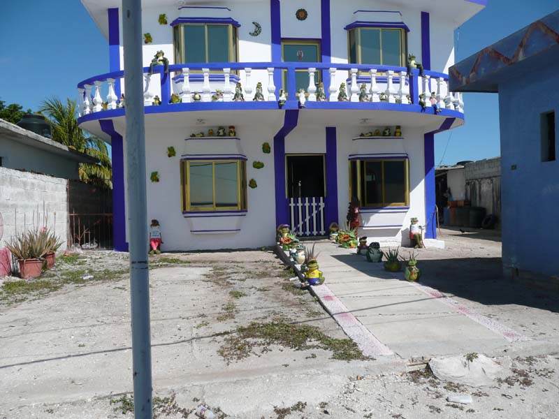 Fancy house