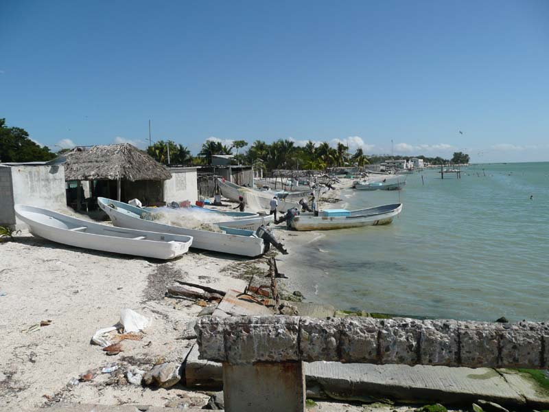 The local fishing fleet