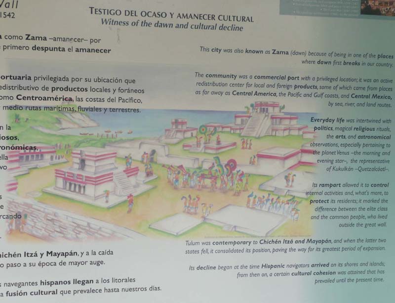 Overview