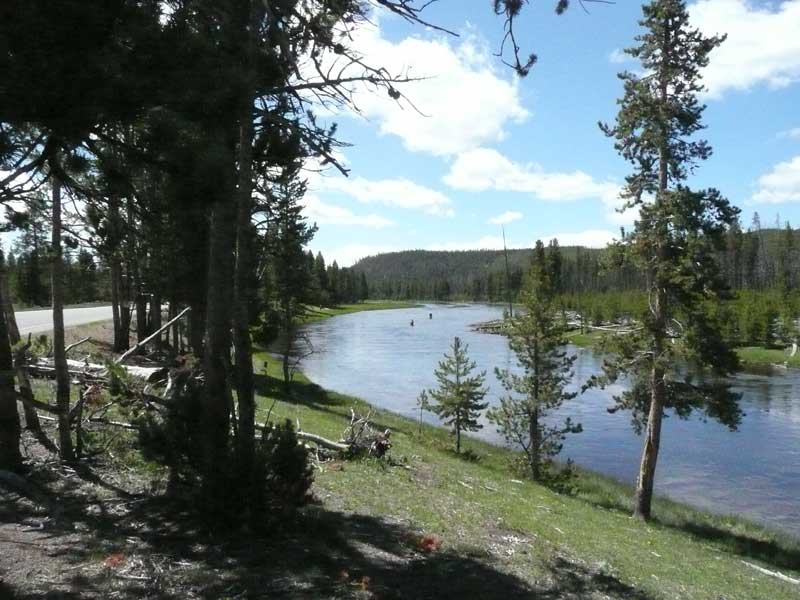 Fly fishing the Firehole river